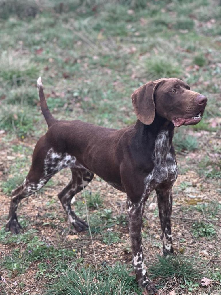 Tango dit thor Du Rio Parana