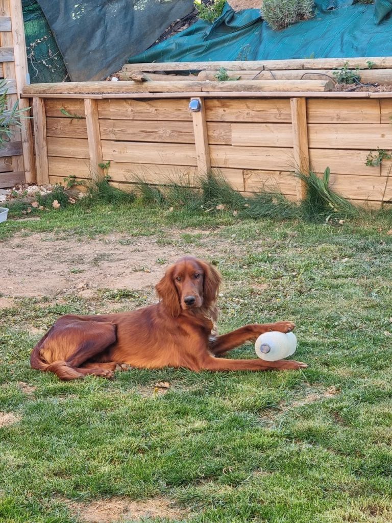 Sky de l'etang du vert
